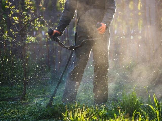 Bienvenue sur le nouveau site de HB Parcs & Jardins, paysagiste à Bastogne